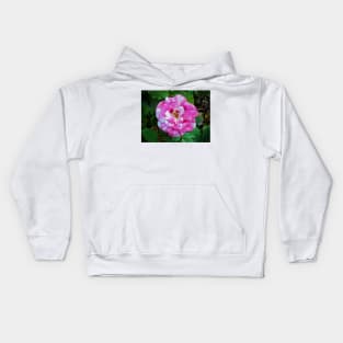 Striped Rose Kids Hoodie